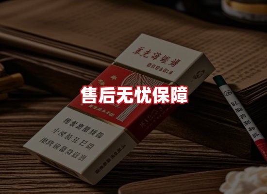 专业团队